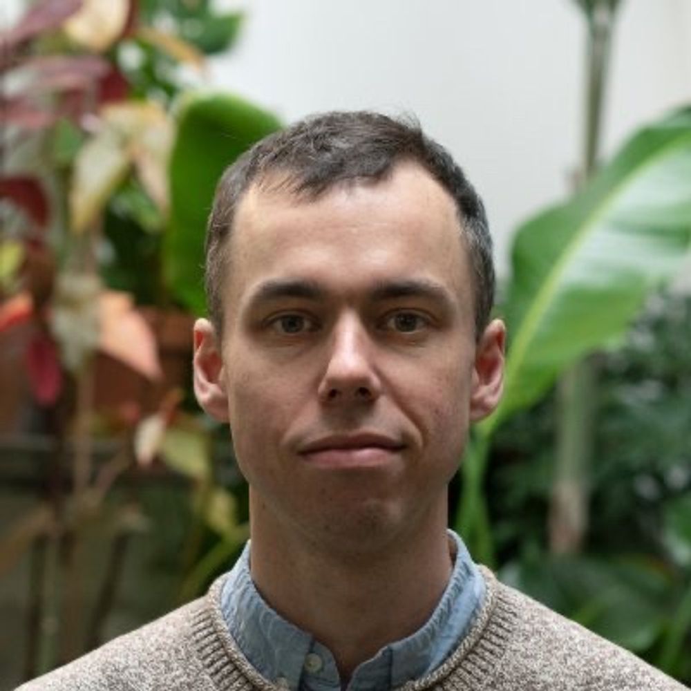 Louis Goddard