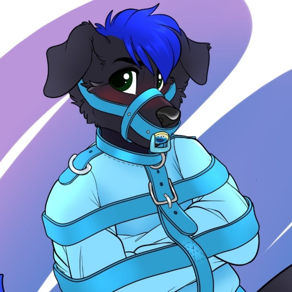 The Good Boi 🔜 BFC25 🏕🏞