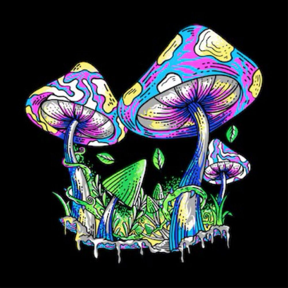 The Psychedelic Garden 🍄
