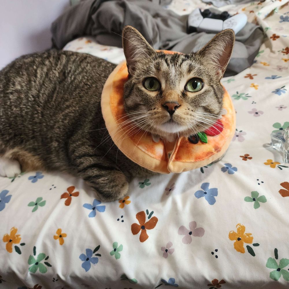 Mel