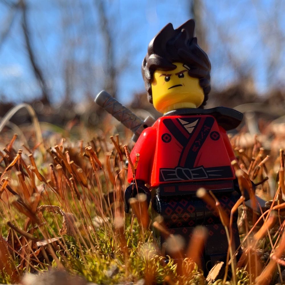 Toy Photography