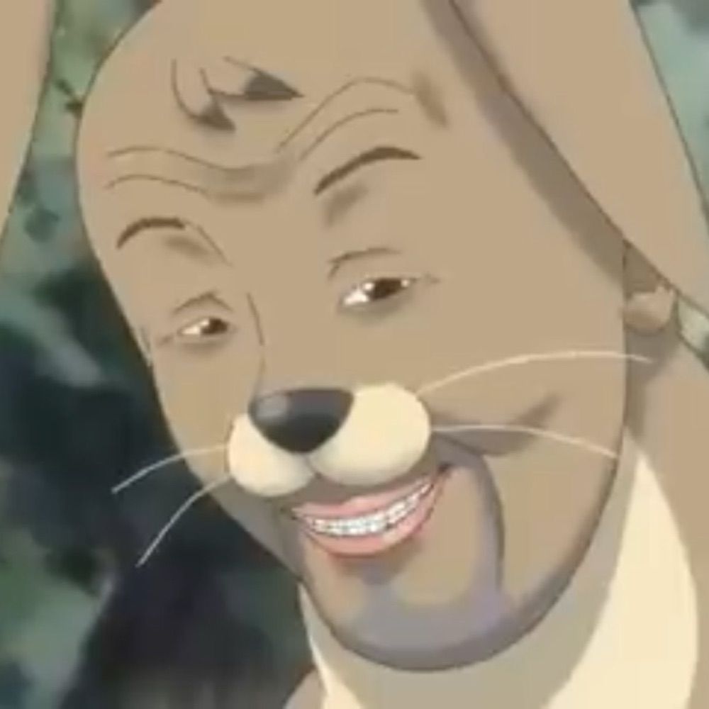 Rabbit