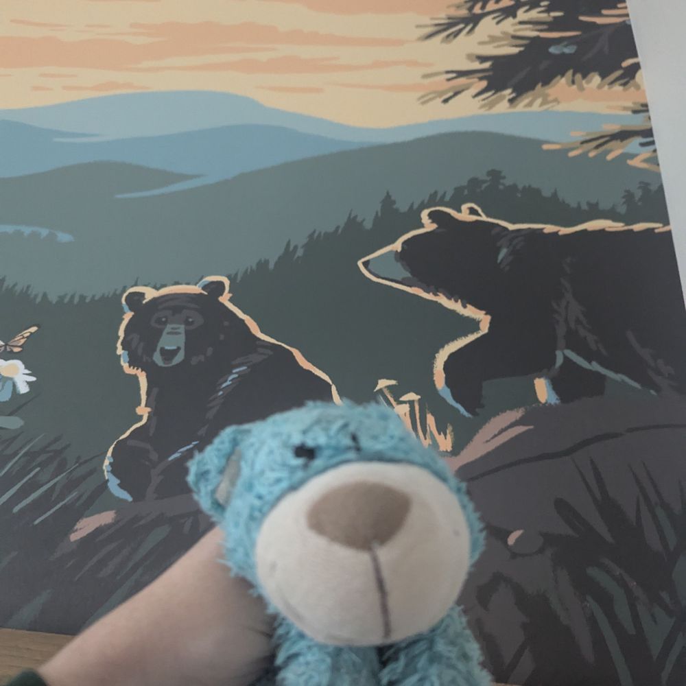 Chilly Bear