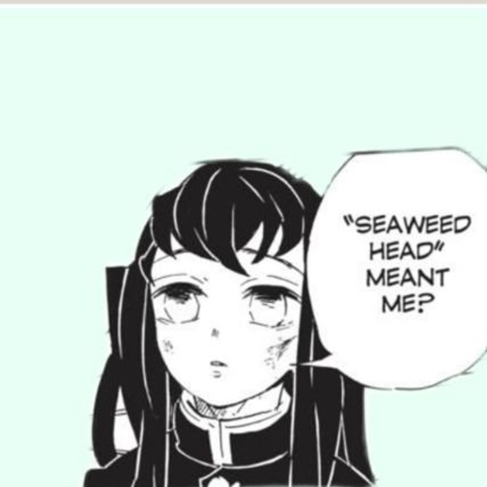 eden • seaweed head (⁠●⁠´⁠⌓⁠`⁠●⁠)
