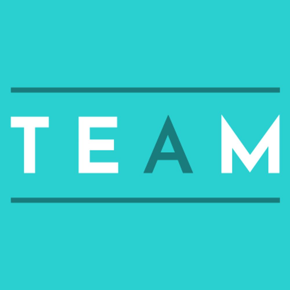 TemTeam