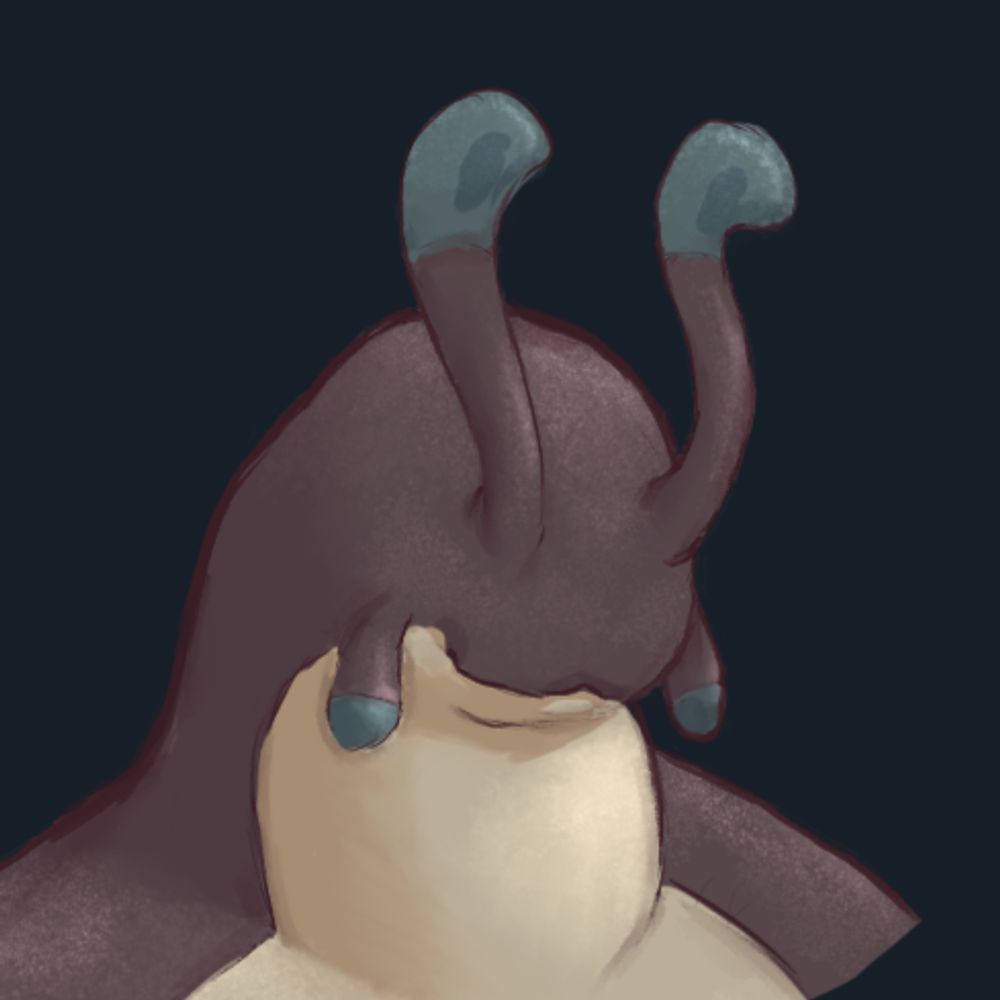 Slug 🐌FWA🐌