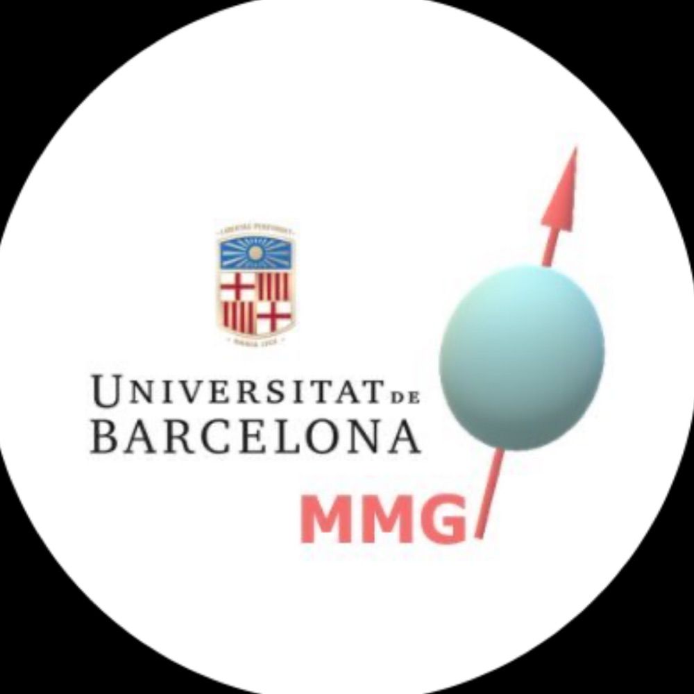 MagMol research group