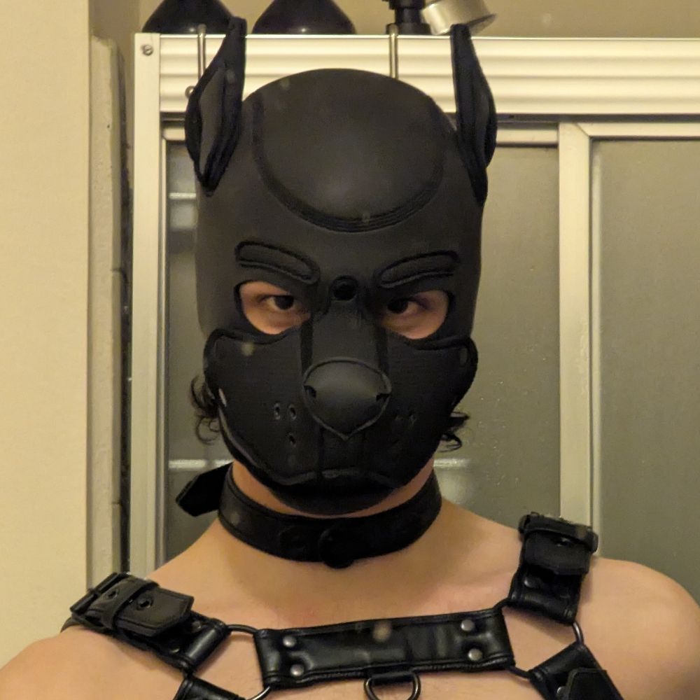 Pup Oreo