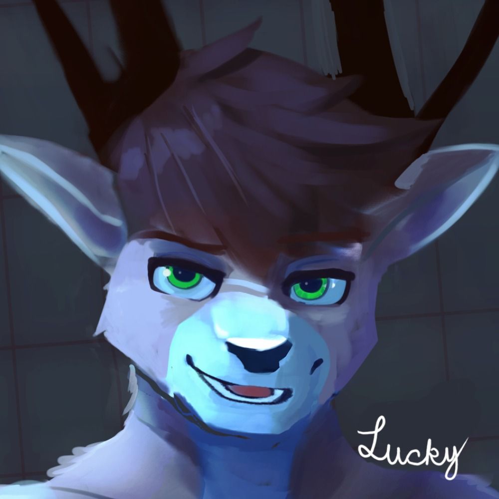 Lucky (comms closed)