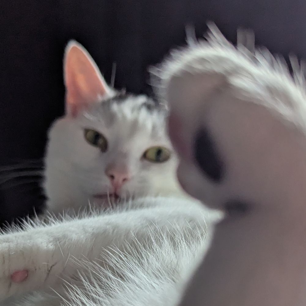 Millie