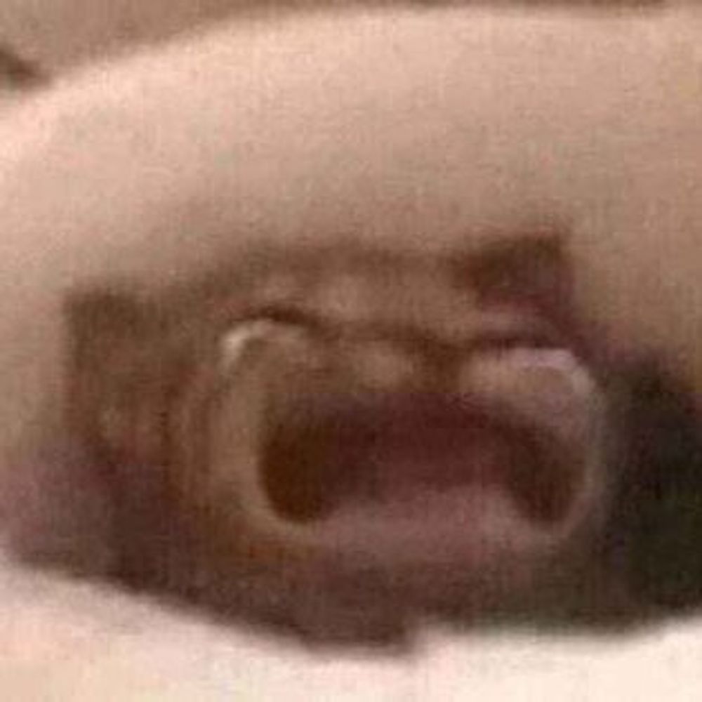 Grif