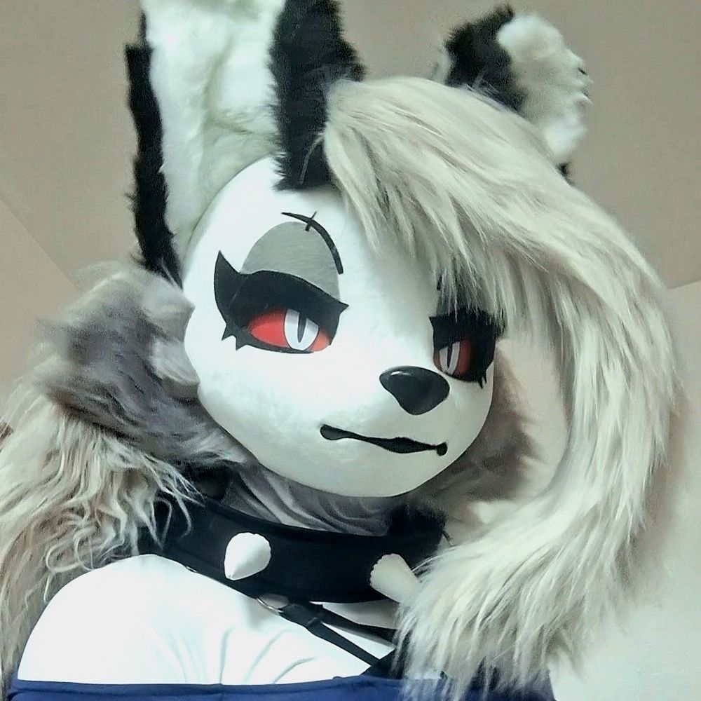 Catpoi