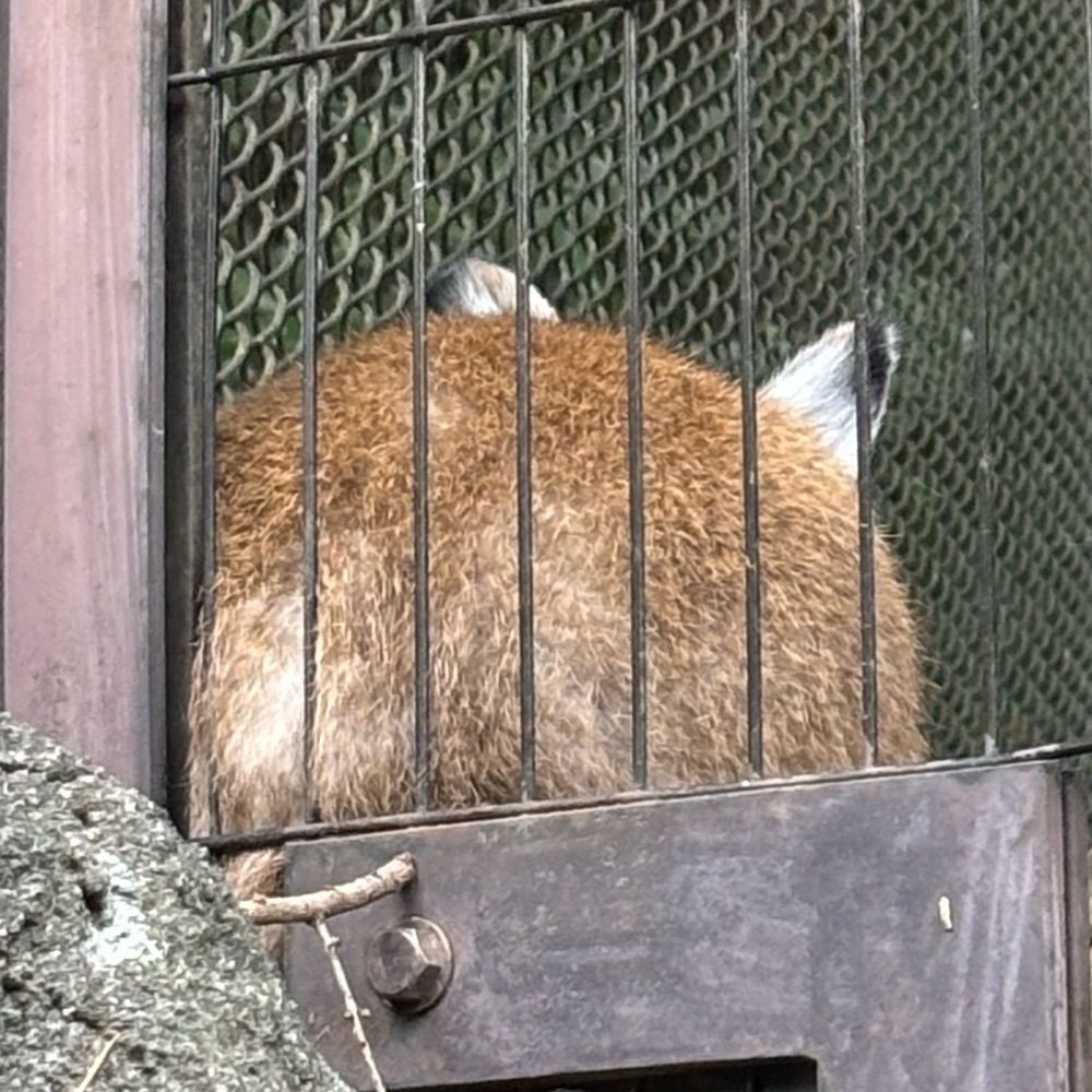 おネギ