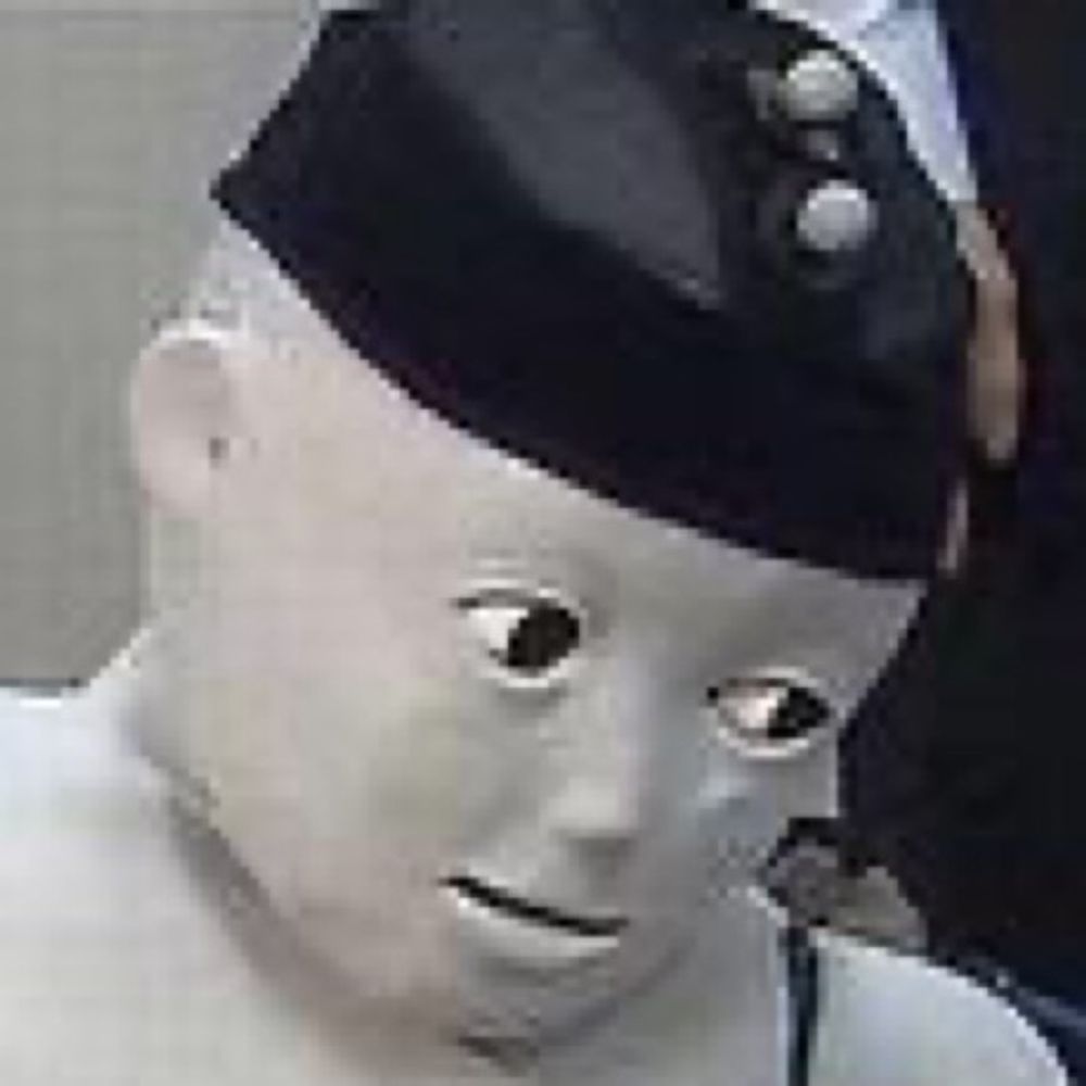 집행부