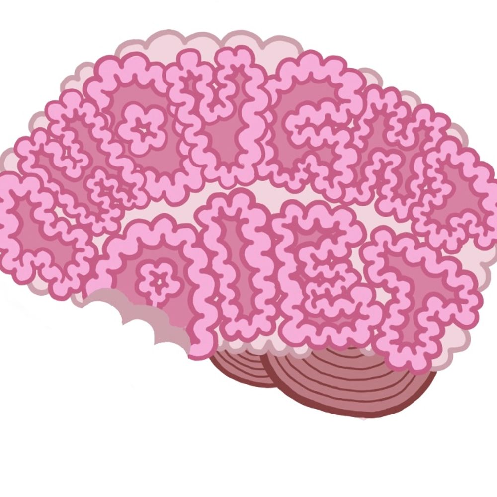 Thought Diet