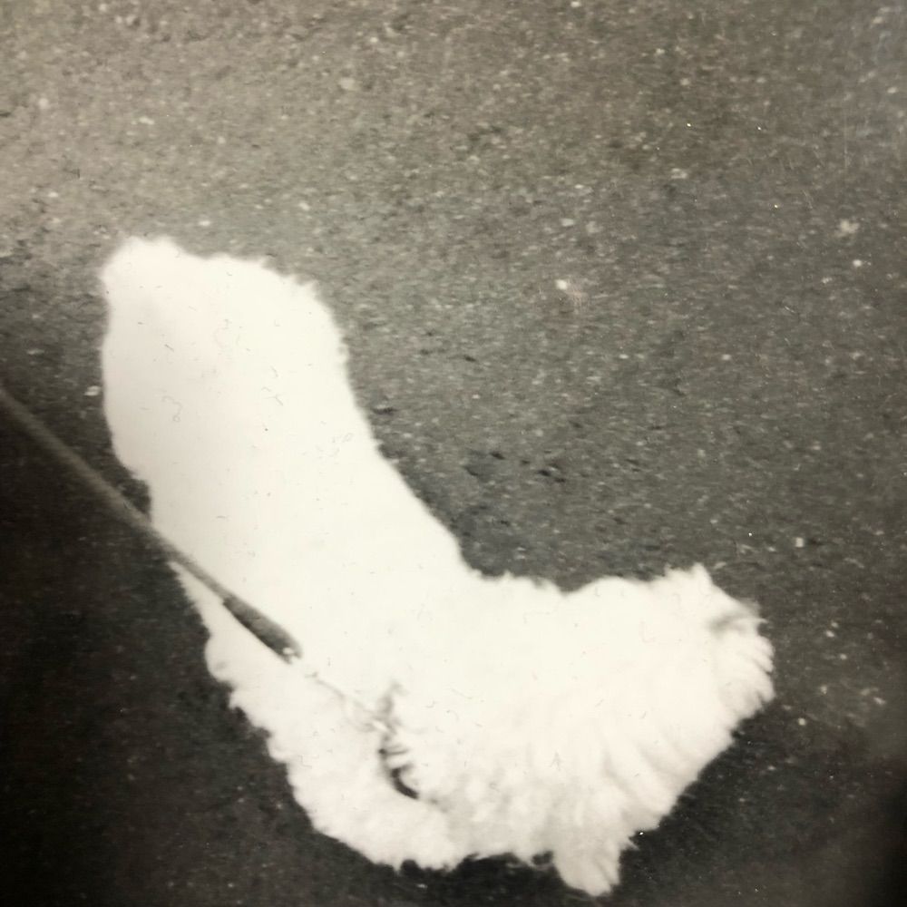 千雪