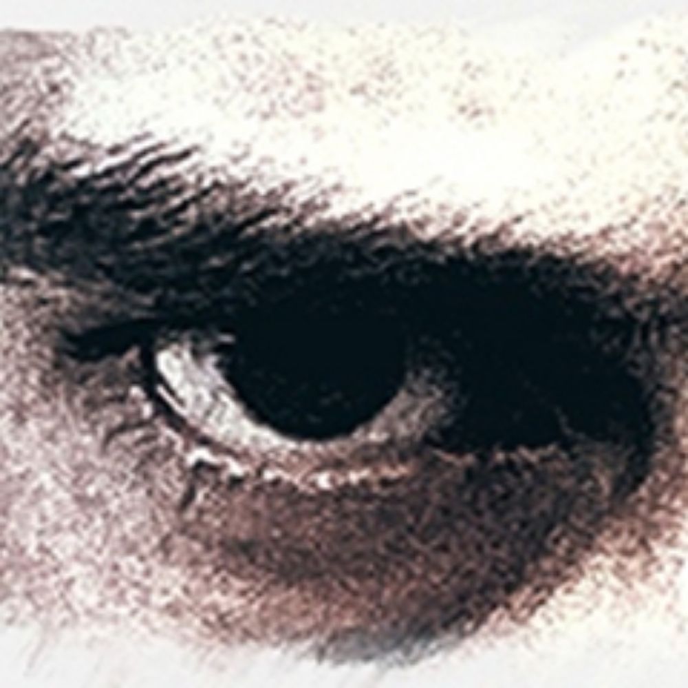Observador 