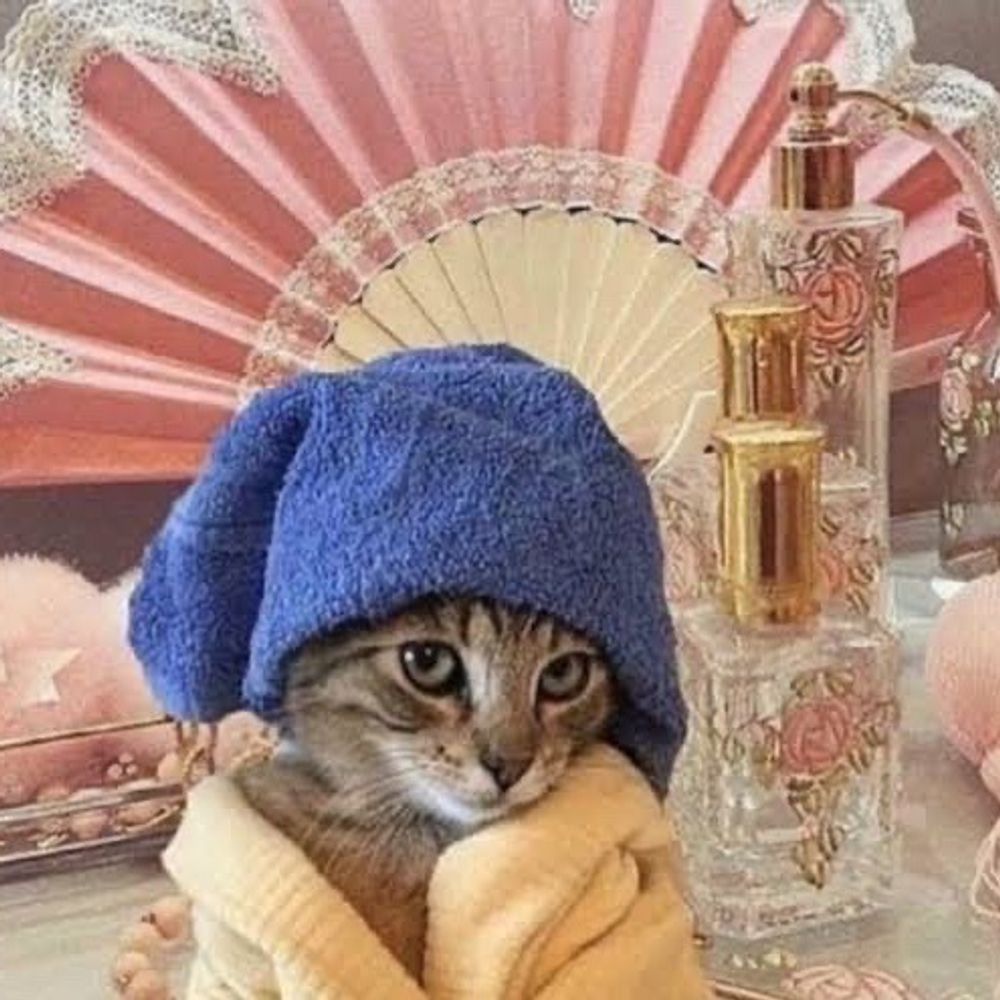 Disco Catlady