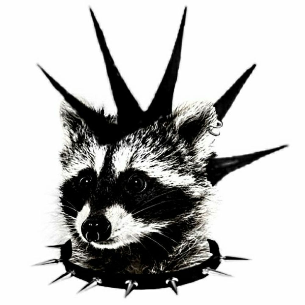 🦝⋆.･ Nick ･.⋆🦝
