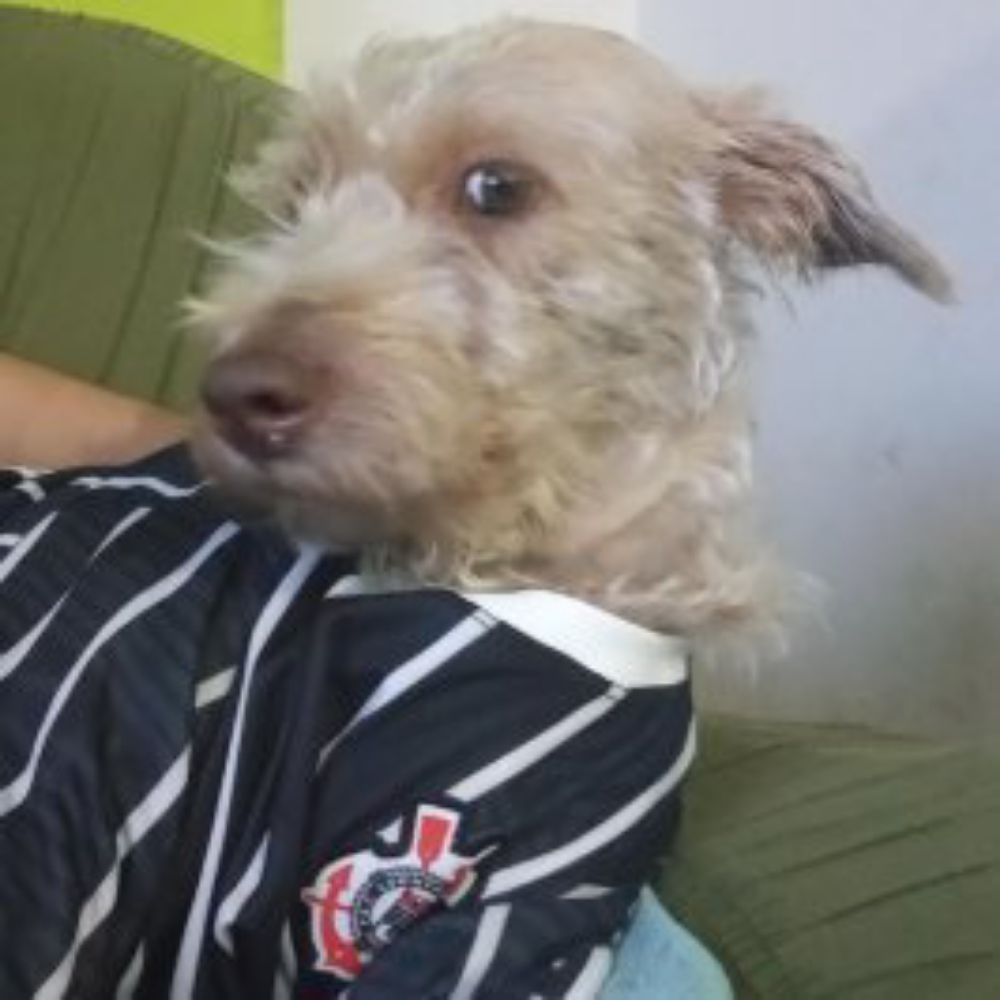 Nathan Danadinho