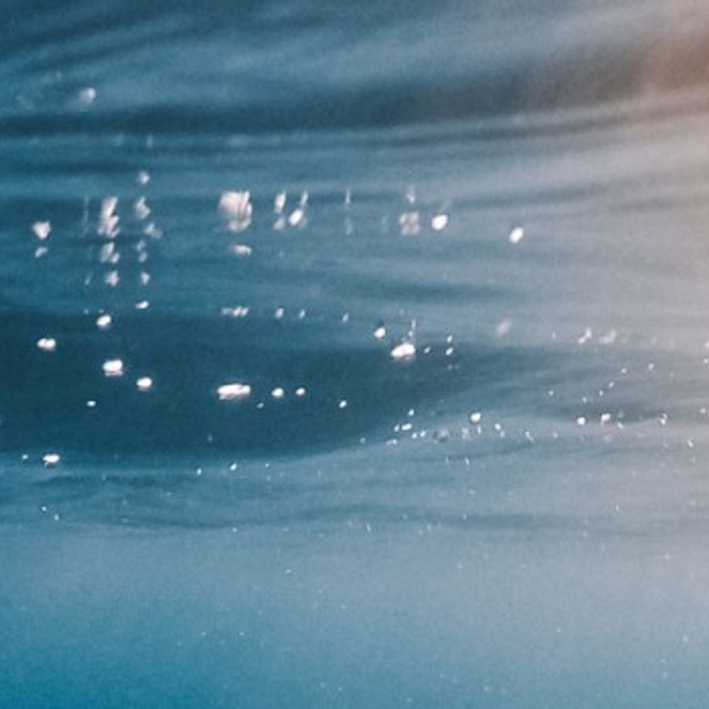 Reclaim The Sea