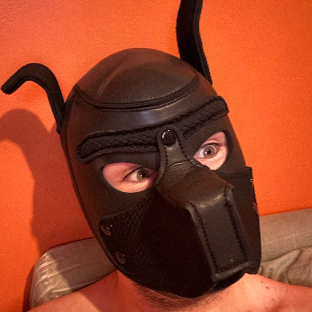Pup Shweet