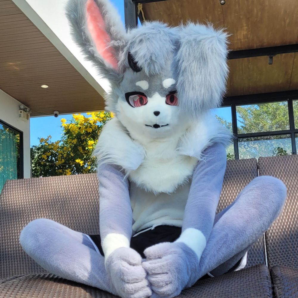 Guide Zerogg (🔞🐰) ➡️ ThaiTail