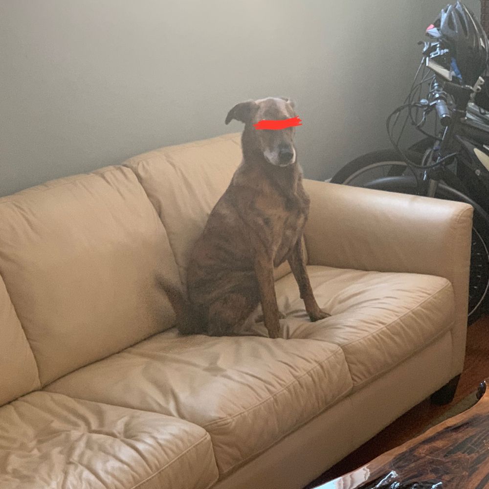 Bitey 