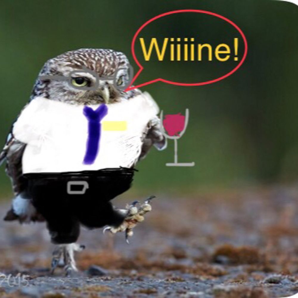 The Wine Academic