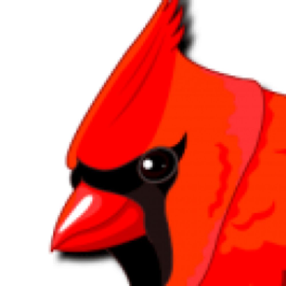 PajaroRojoElBlog