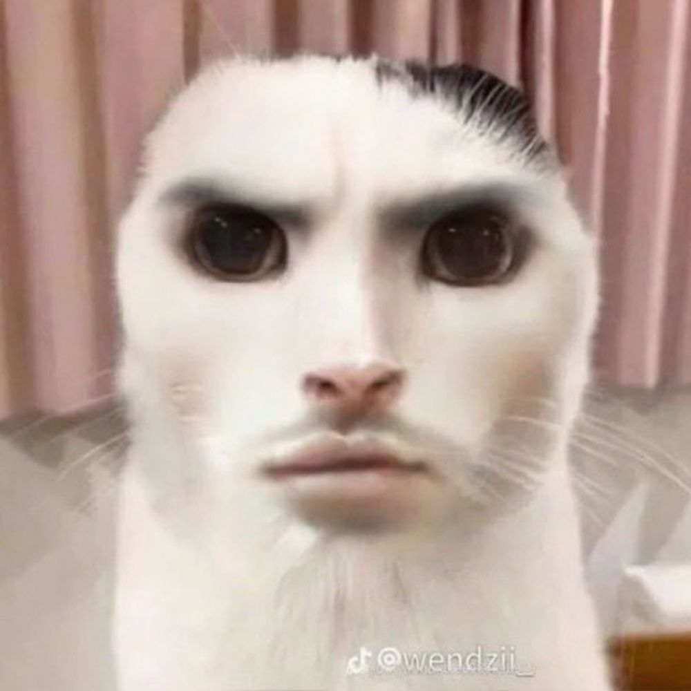 근엄냥이블스계