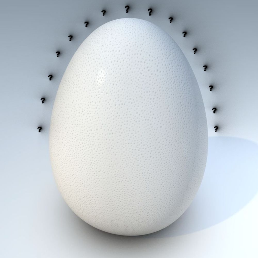 Egg