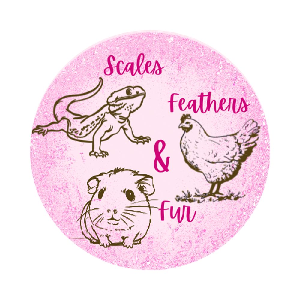 ScalesFeathersFur