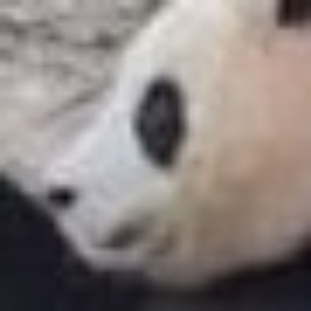 방생