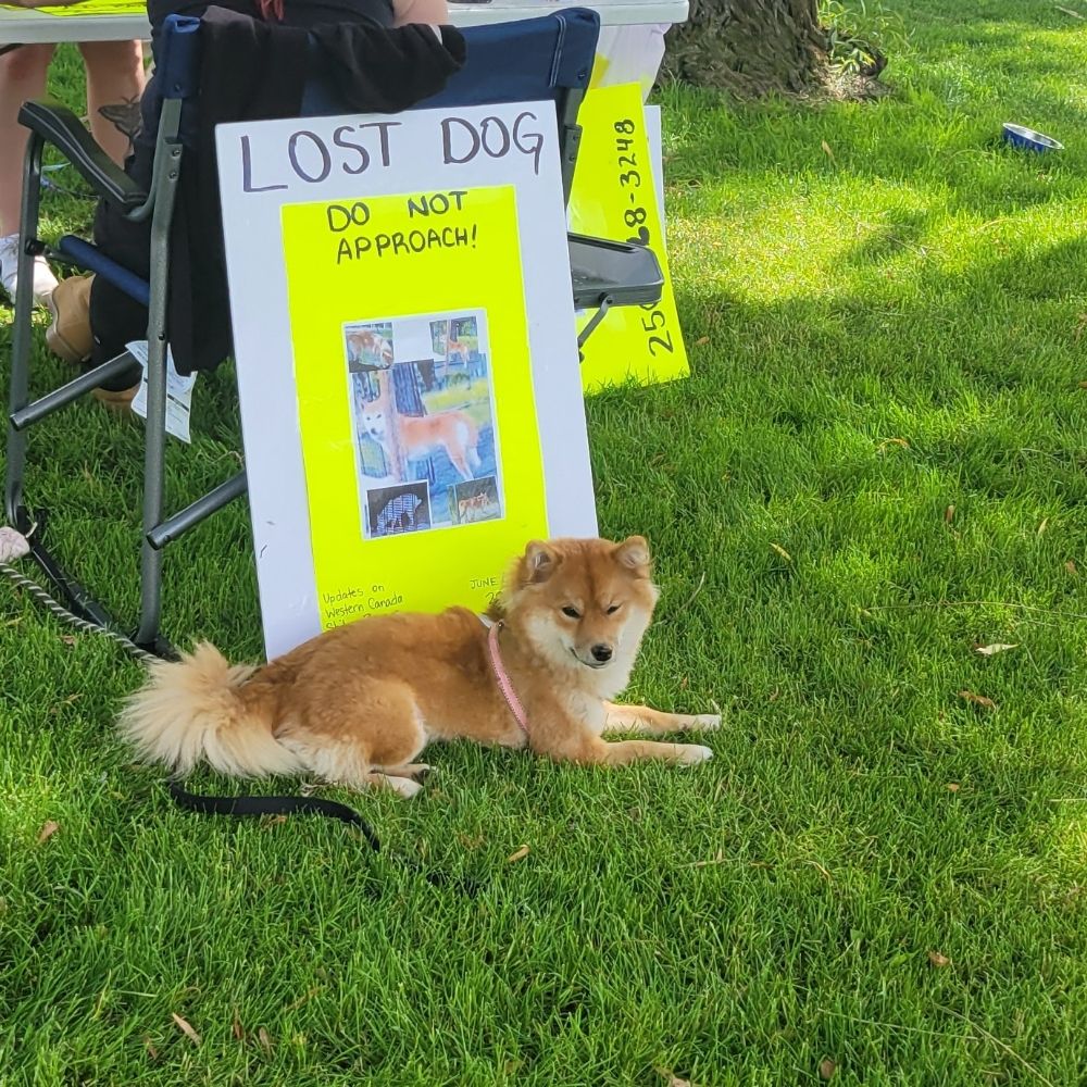 West Coast Shiba Society
