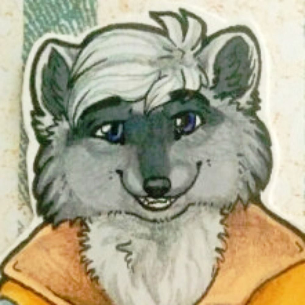 Piter Raccoon