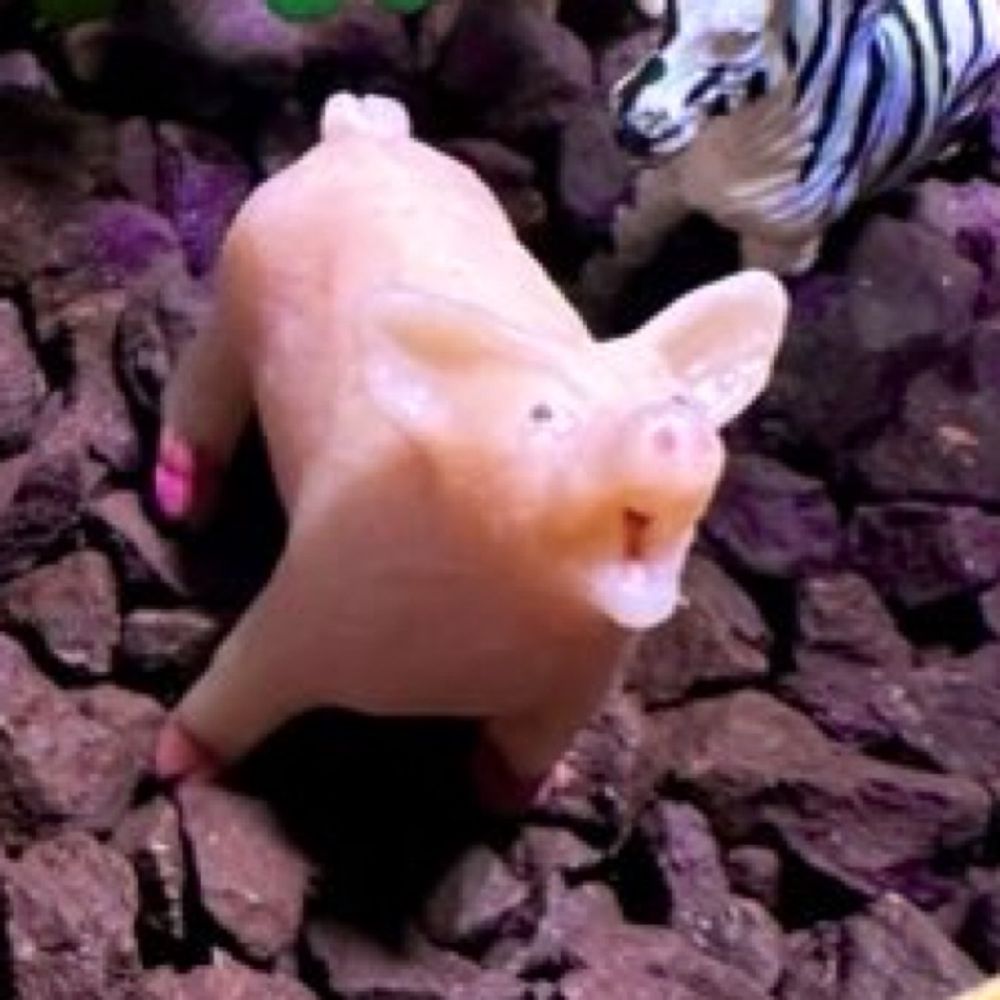 ぴさお