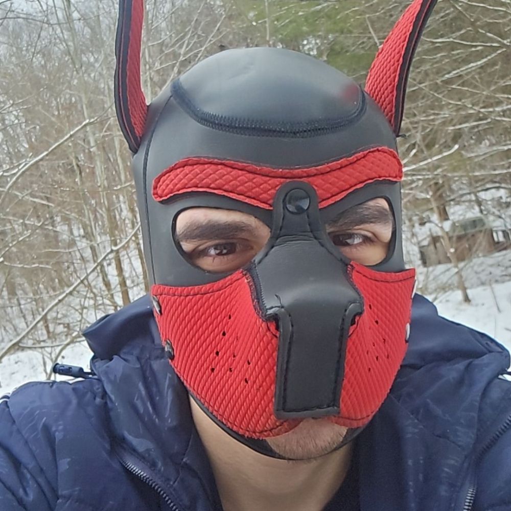 Pup Jax
