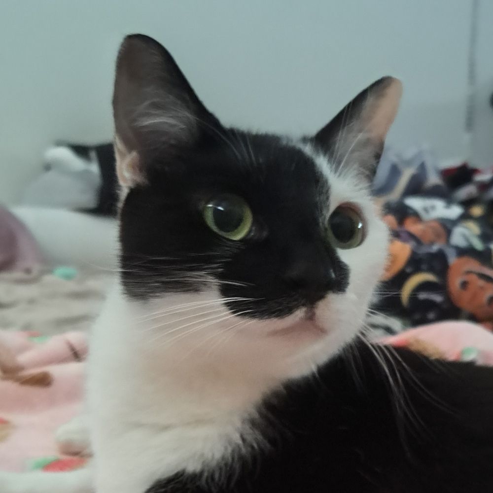 Rosie ✨️