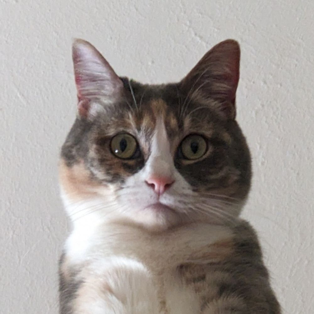 Jem