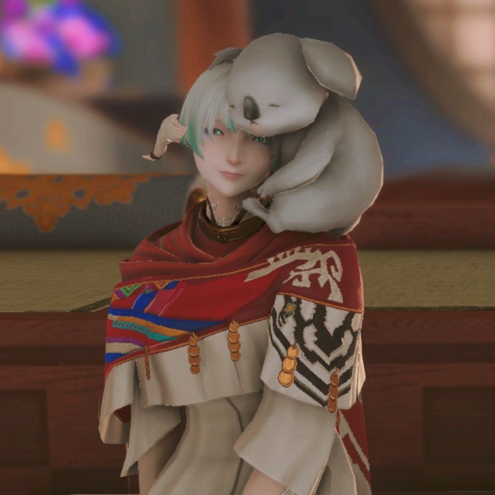 Pocket Holu