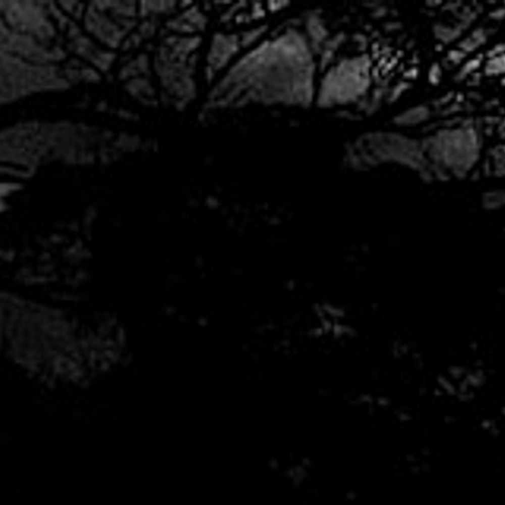 Gothic.Net