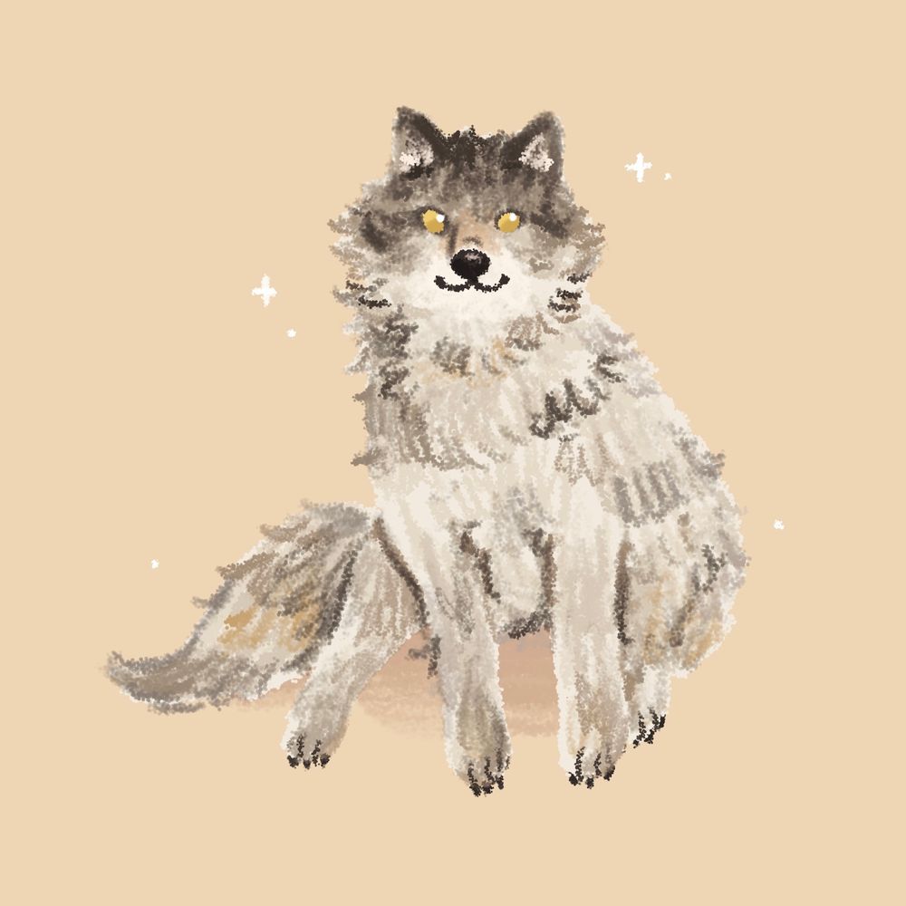 Wolfe (she/her)
