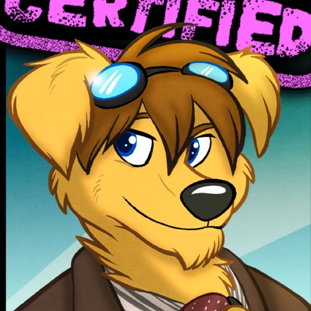 Dash @TFF