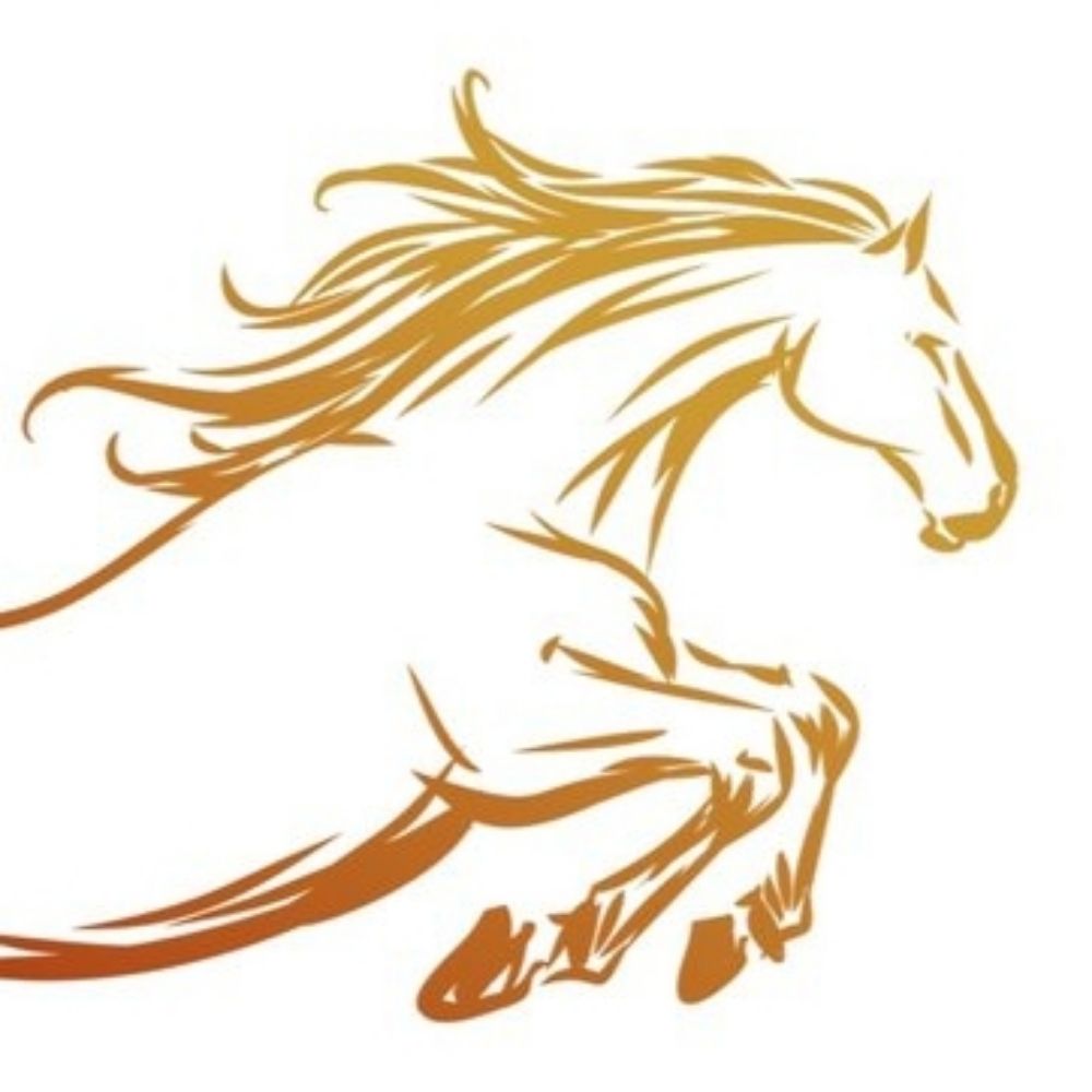 Free to Be Equine