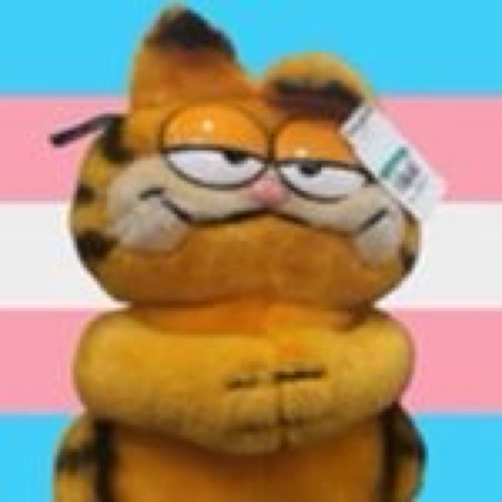 Profile picture jiqueergarf.bsky.social