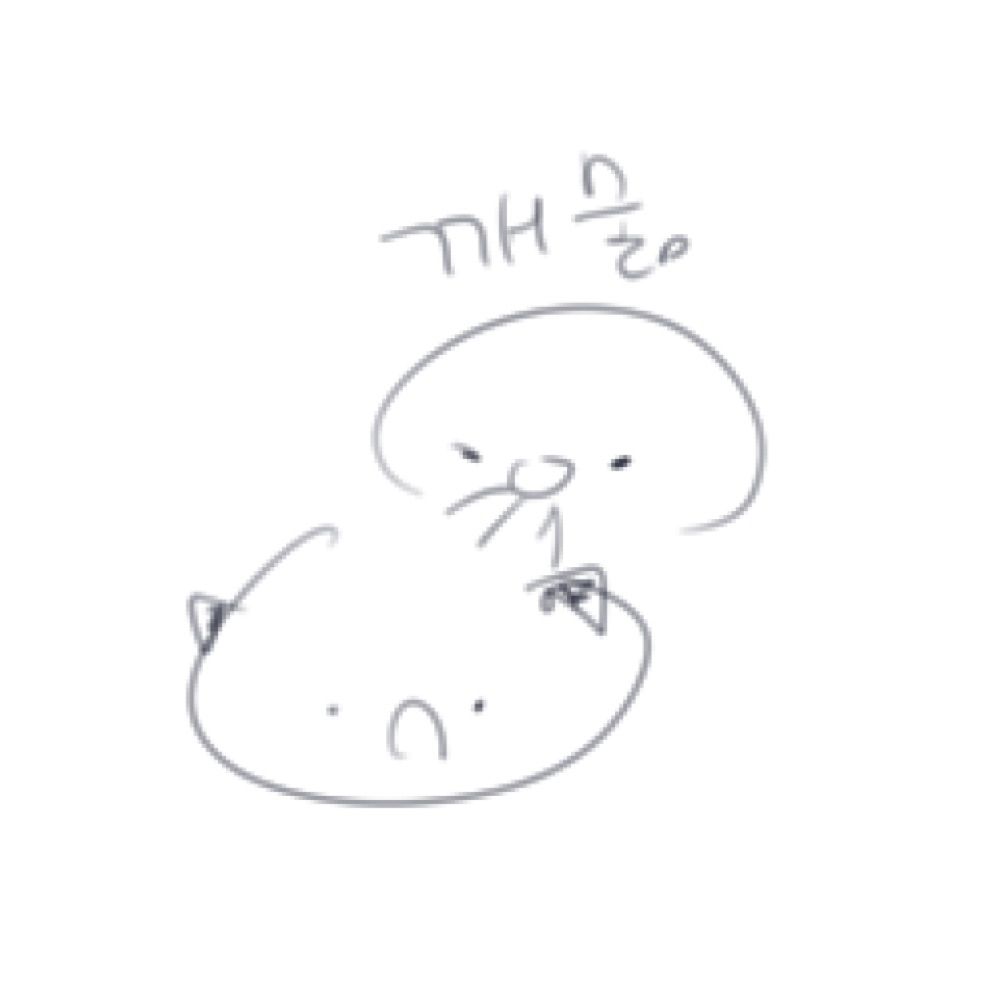 도리