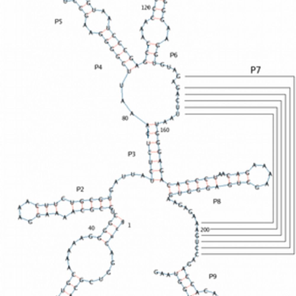 selfsplicing