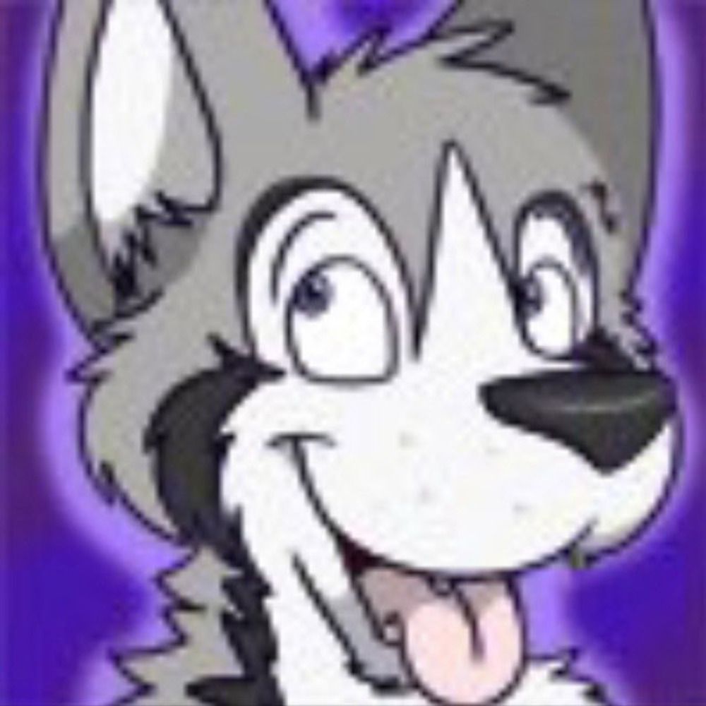 SnickersHusky