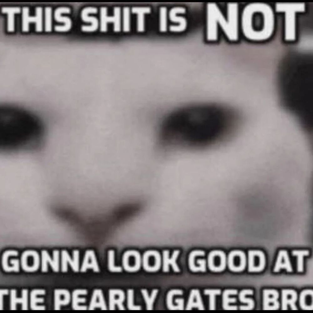 voidychildd.bsky.social